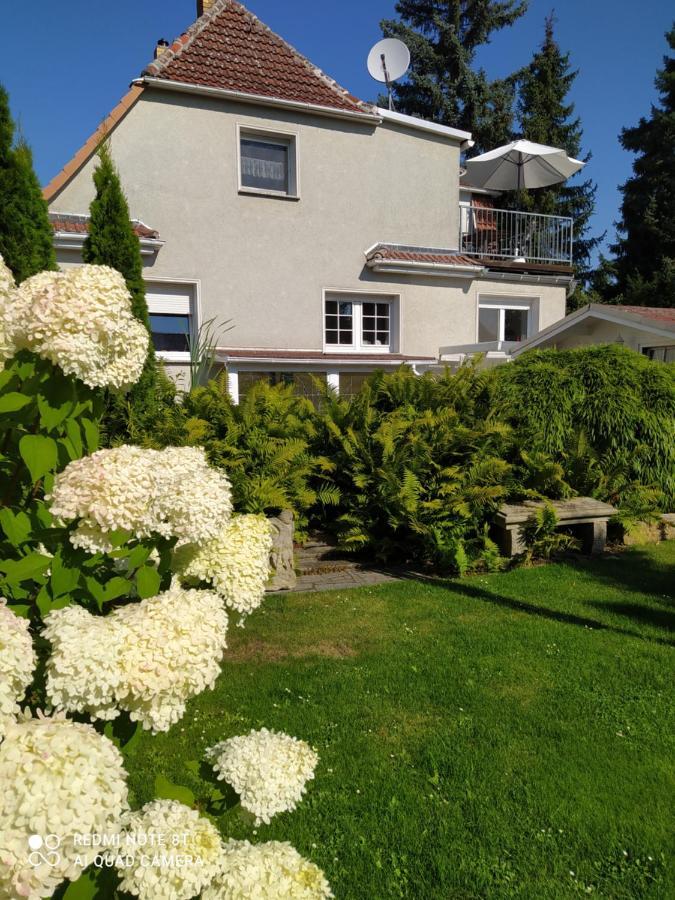 Kreativ Ferienwohnung Domizil Der Sinne Bad Liebenwerda Bagian luar foto