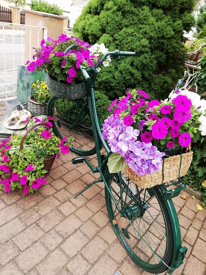 Kreativ Ferienwohnung Domizil Der Sinne Bad Liebenwerda Bagian luar foto